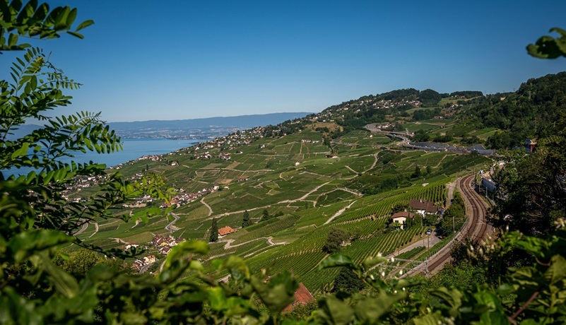 Lac de Bret mit Lavaux-Express
