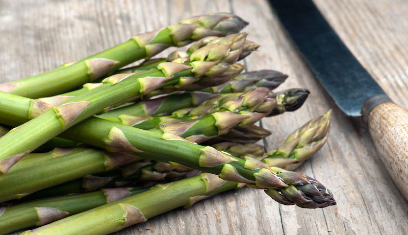 Spargelplausch auf dem Rhein und Bohrerhof (D)