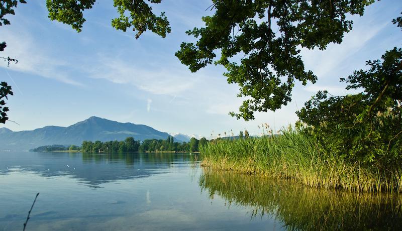 Zugersee-Schiffsrundfahrt